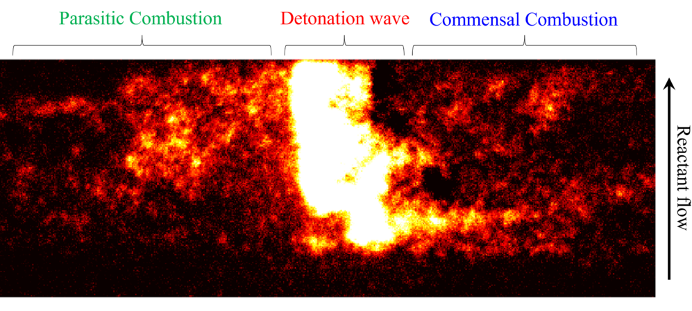 Detonation wave figure